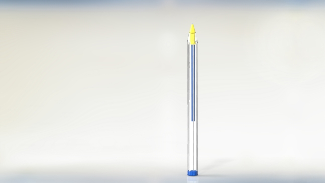 BIC 钢笔