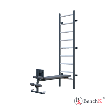 WALL BAR SET 健身站冠军 黑色 5_WIELOFUNKCYJNA DRABINKA GIMNASTYCZNA 冠军 黑色 - 迷你健身房