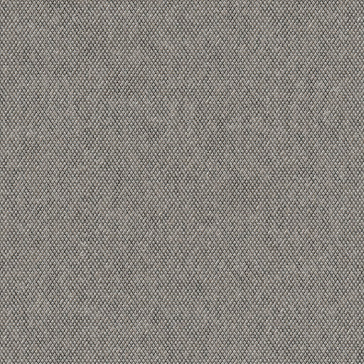 犀牛箭
