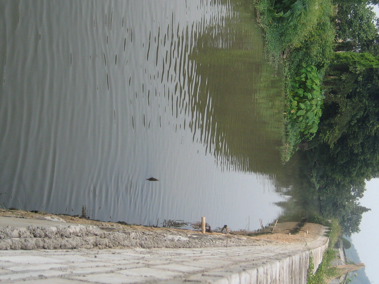 佛山南海某绿洲侧挡墙工程及涌底硬底化工程改造施工工程