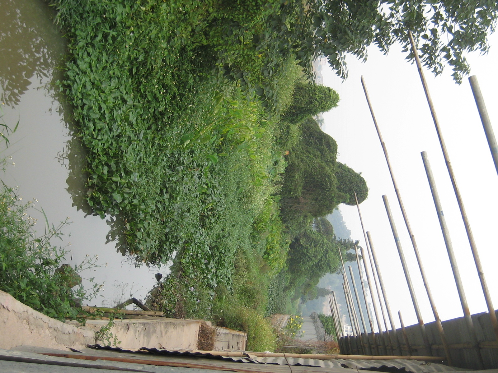 佛山南海某绿洲侧挡墙工程及涌底硬底化工程改造施工工程