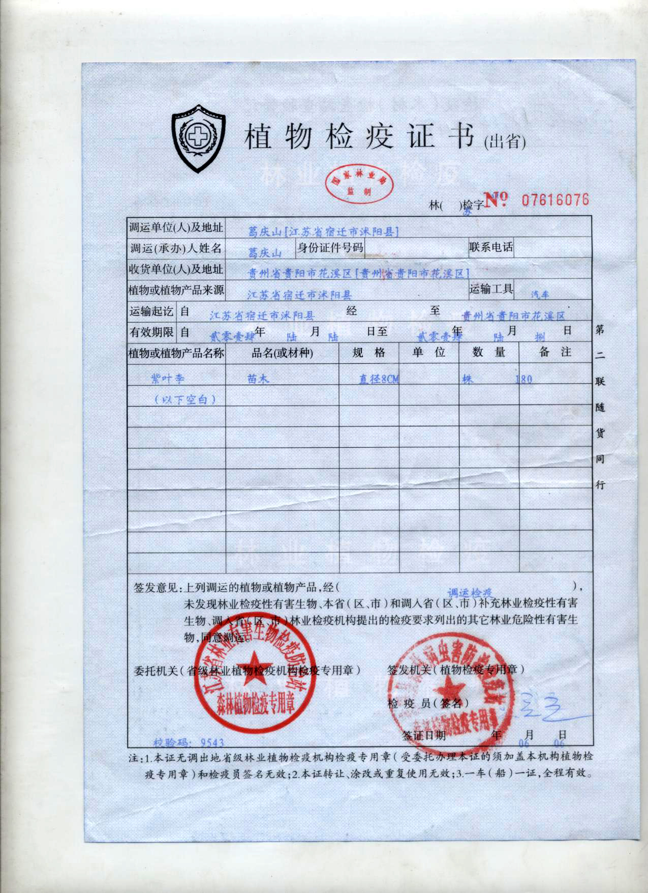 市政道路-方案