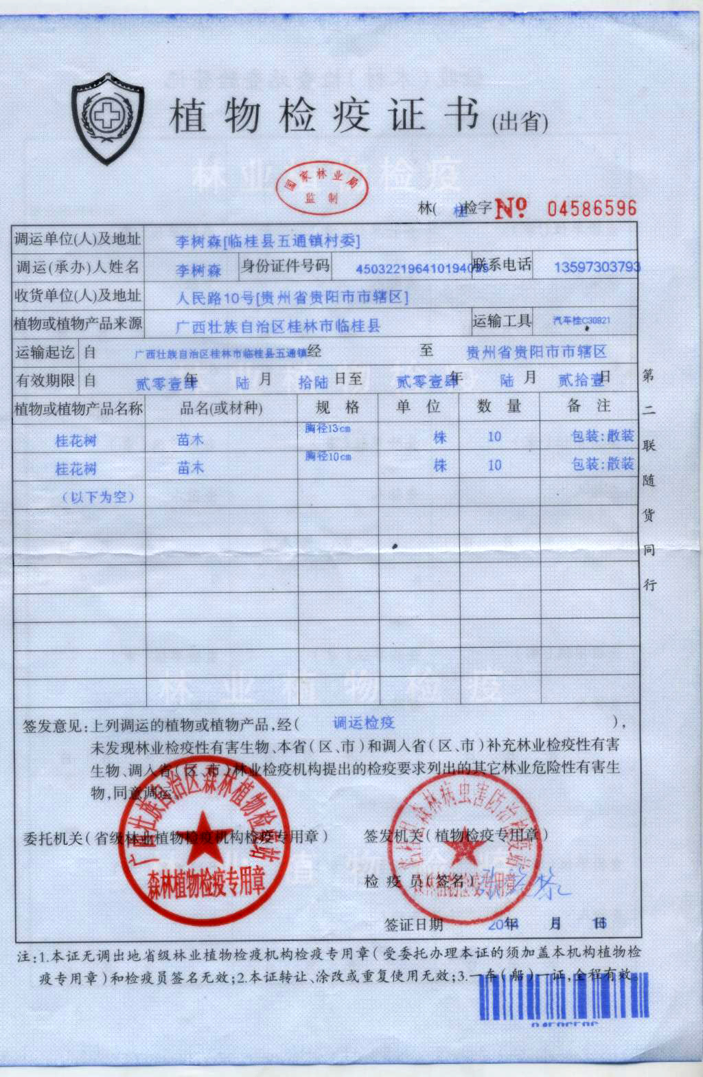 市政道路-方案