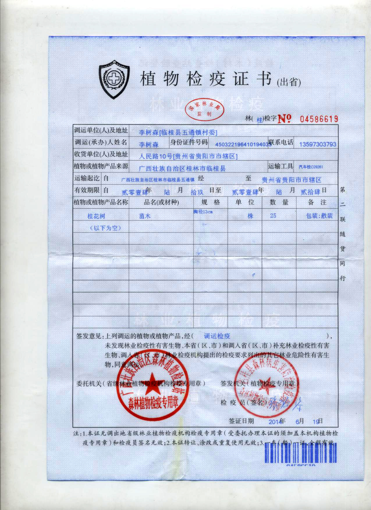 市政道路-方案