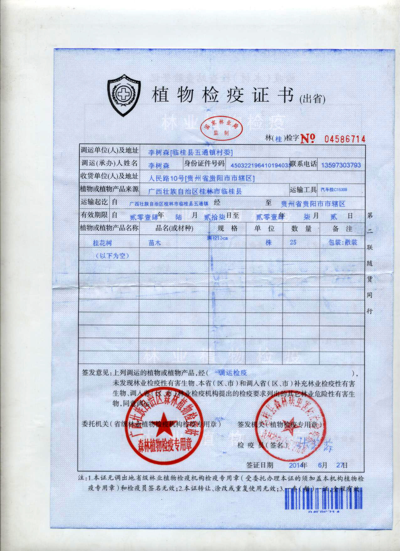 市政道路-方案