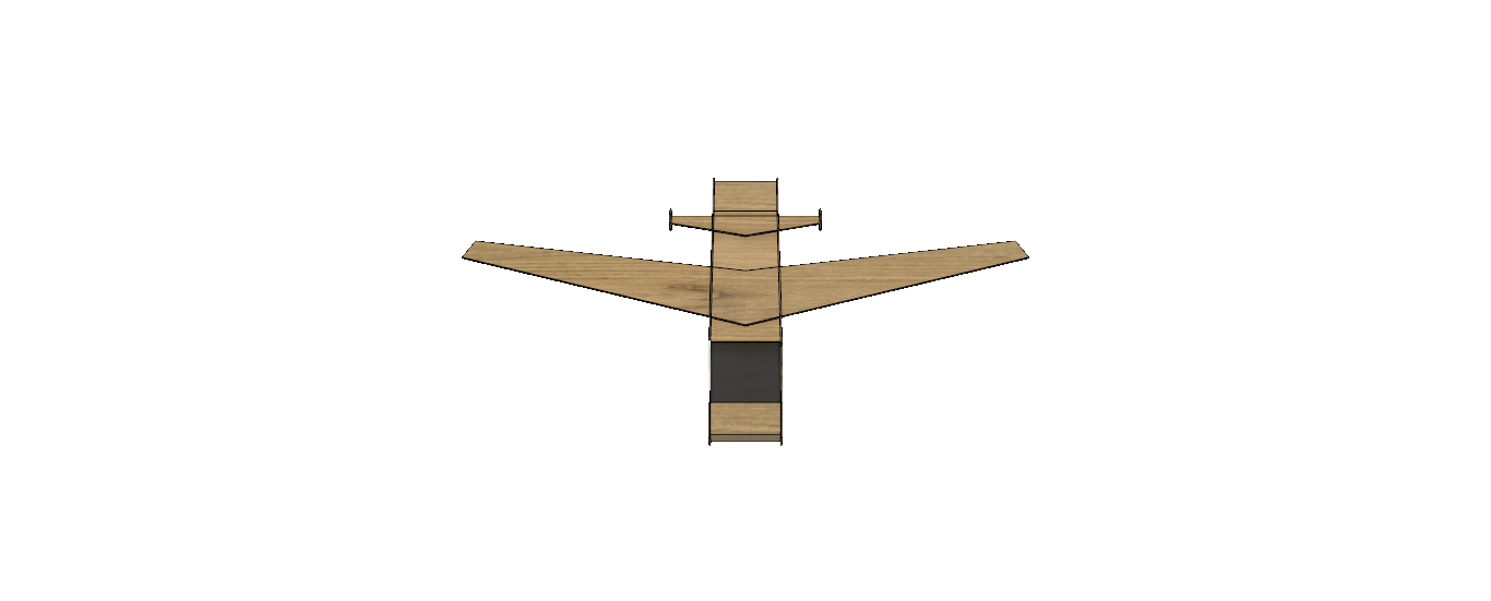 玩具飞机 (1)