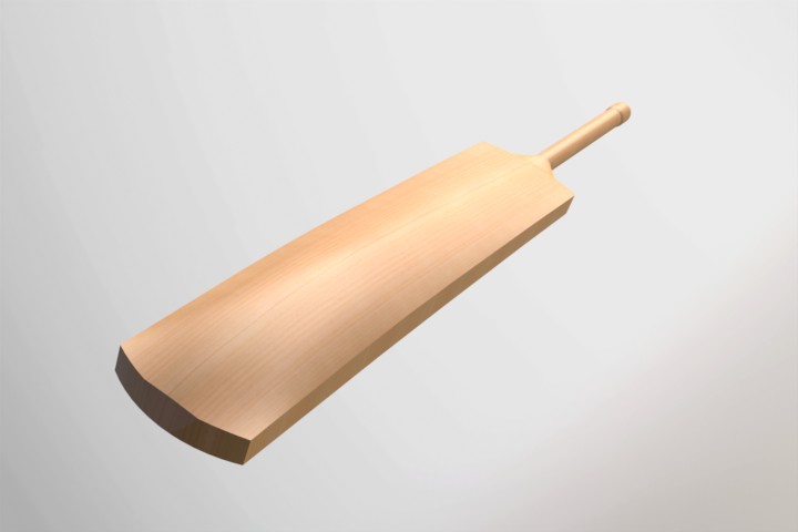板球球棒 (23)