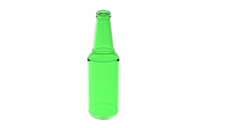 啤酒瓶 (5)