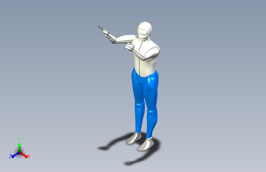 人体模型