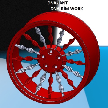 dna-rim-work-1.snapshot.2