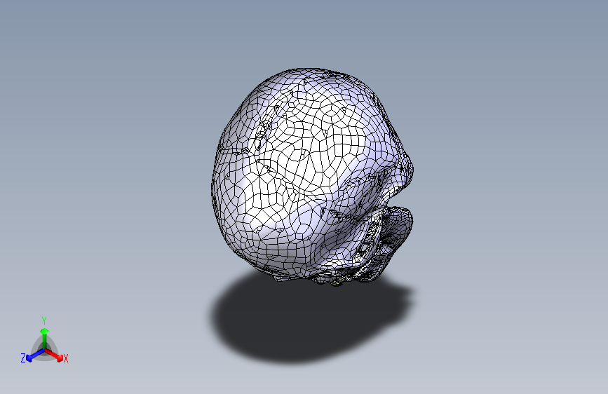 人类头骨3D扫描