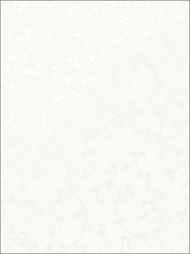 浴室、卫生间、洗手间(91)