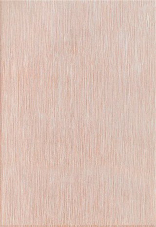 浴室、卫生间、洗手间(91)