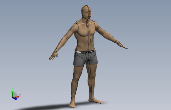 内衣 _Solidworks 2016_