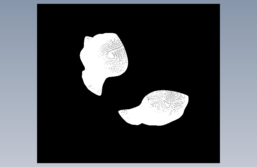 在 AutoCAD 中的面部模型