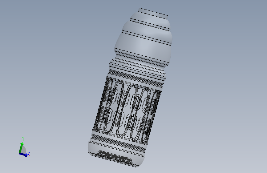瓶装运动饮料 (2)
