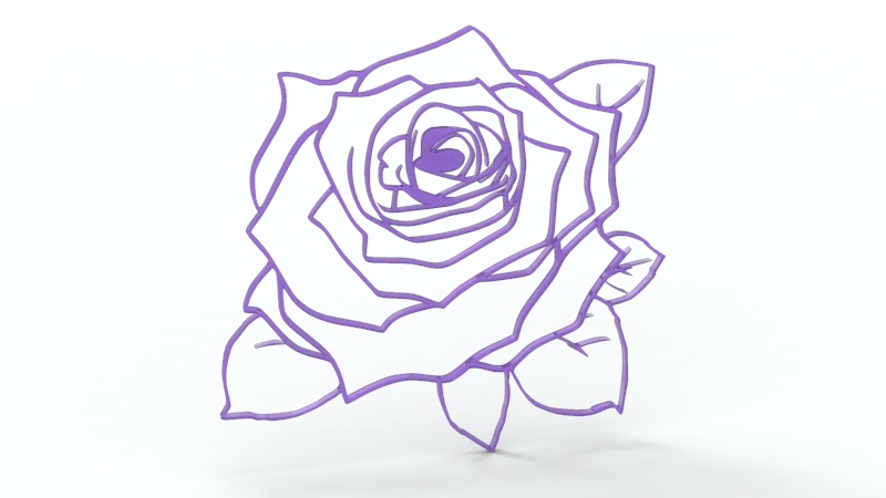 玫瑰的芬芳