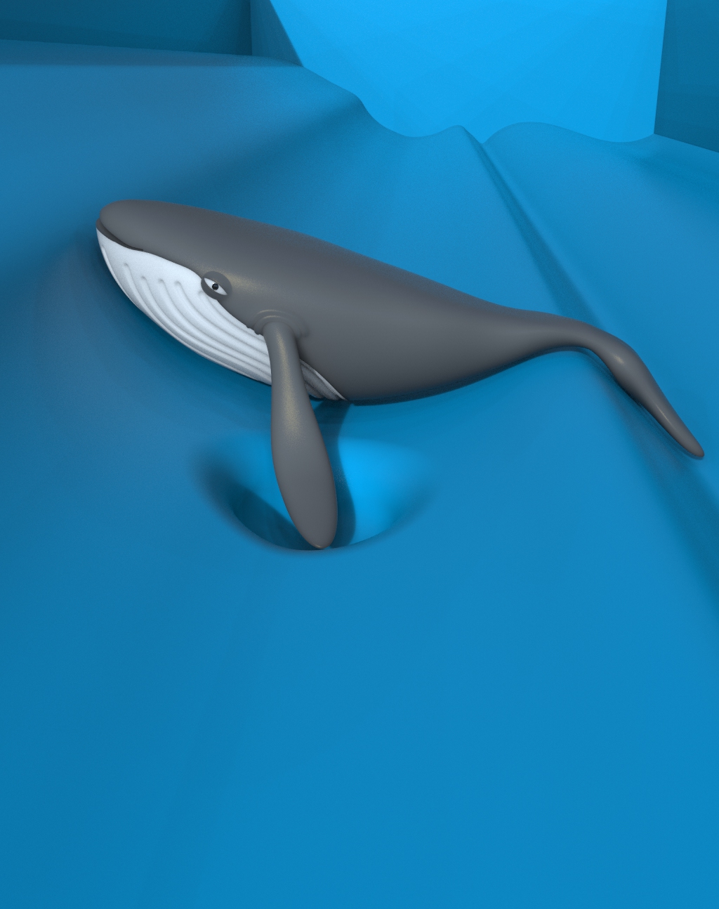 鲸鱼建模3d模型-- 1196755-30