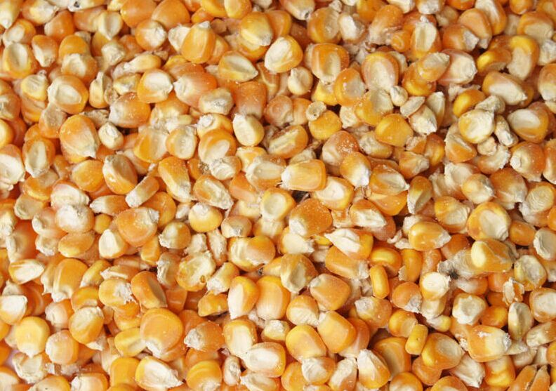 饲料生产线==1721834=300 (2)