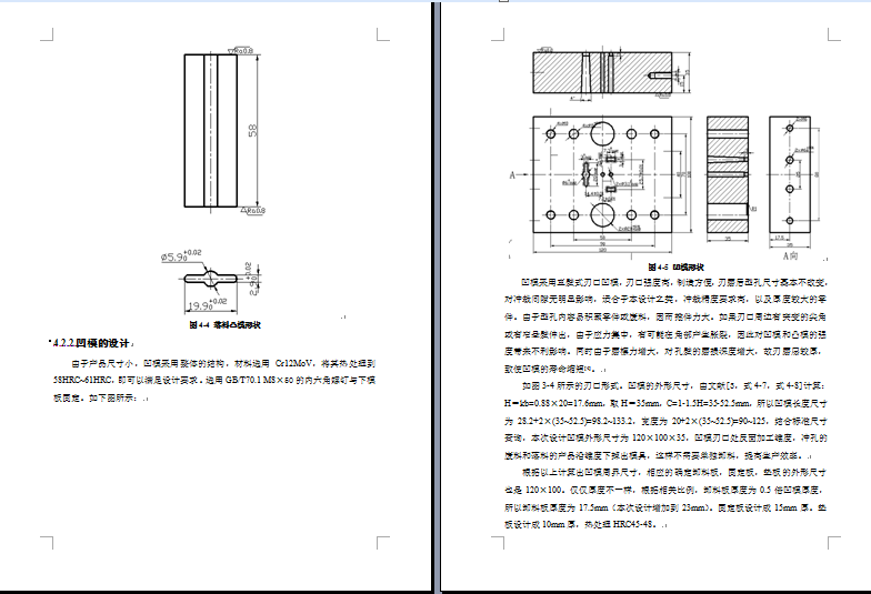 1724--支承片级进模设计859356===wb20