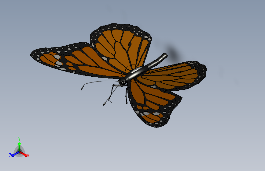 黑脉金斑蝶（帝王蝶）SW设计