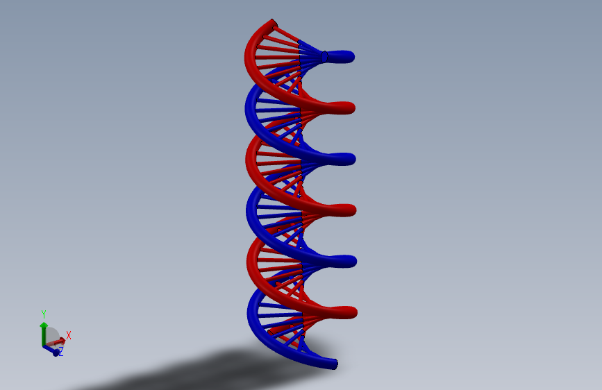 生物DNA简易模型