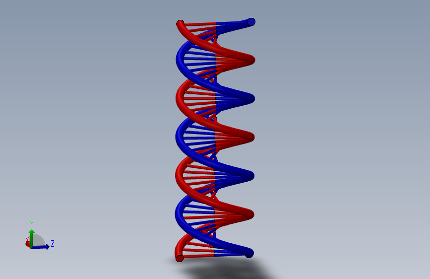 生物DNA简易模型