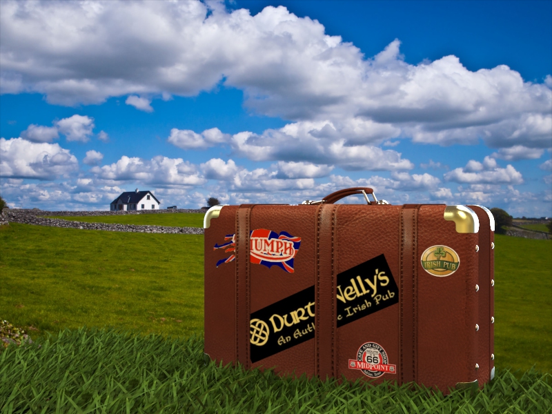 008-行李箱-皮箱 STEP