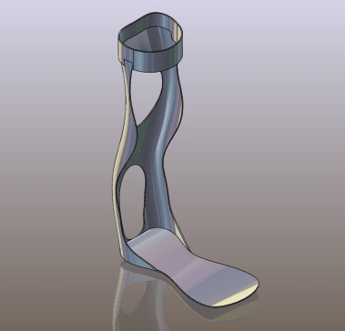 009-假肢-矫形假体设计 SW