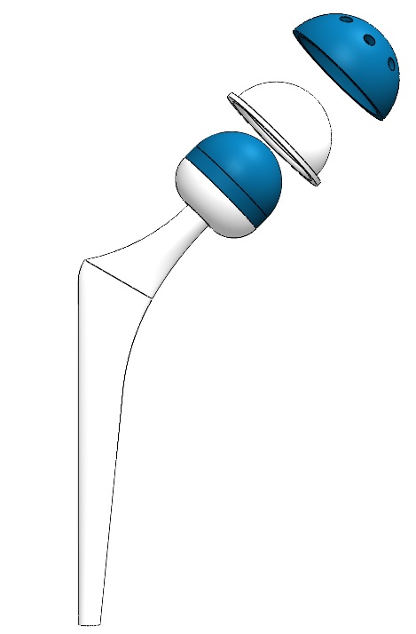 012-假肢-髋关节假体 SW