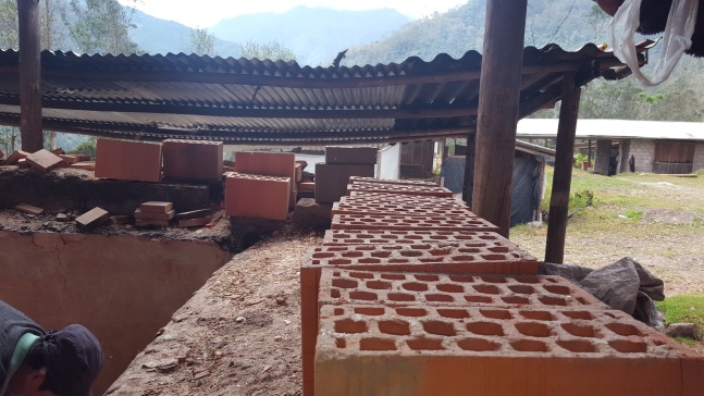 A3000756-燃烧系统油循环器