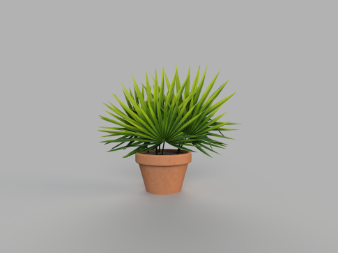 A3000825-棕榈树植物