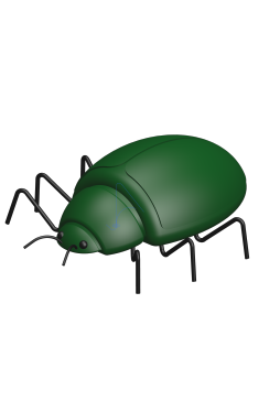 A0000540-薄荷甲虫（昆虫）