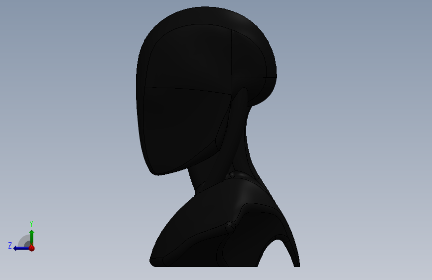 A2001486-人类胸像原型 1