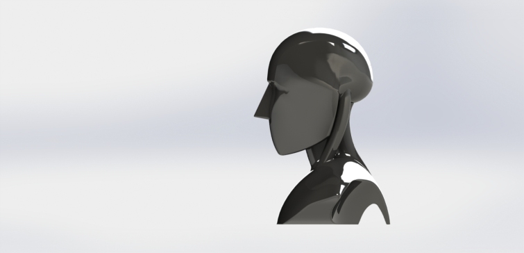 A2001488-人类胸像