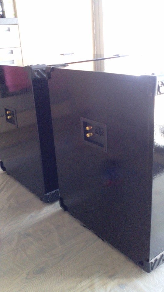 A3001507-C15 400 频率反射低音音箱柜