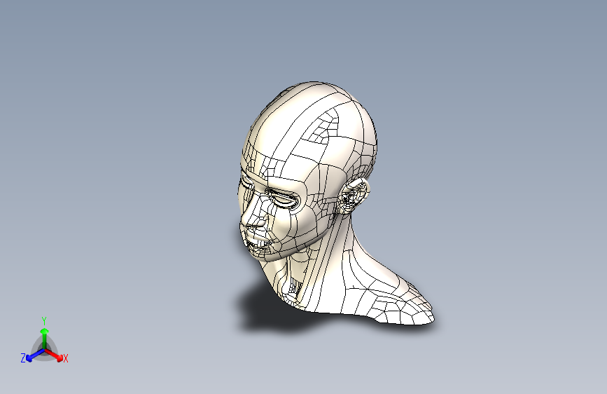 B2001497-11 比例人体胸围头部