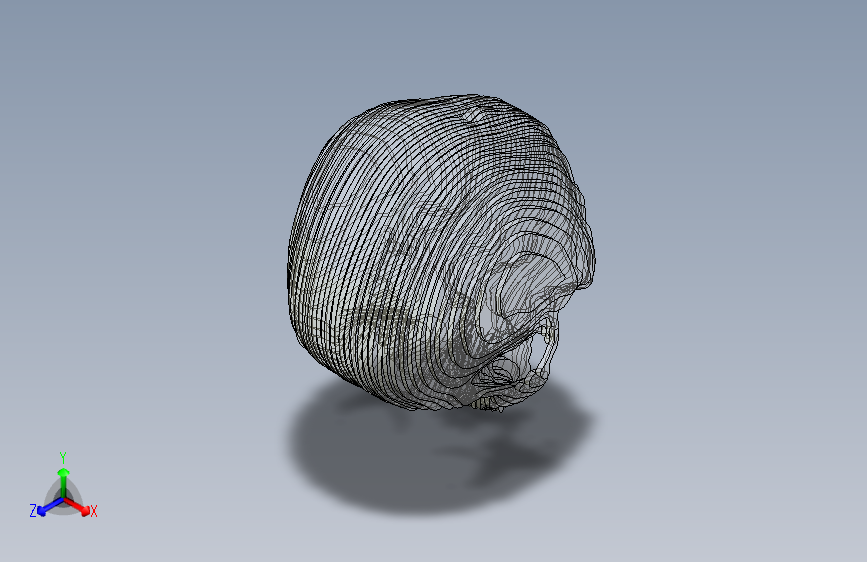 B2002700-实心部分头骨