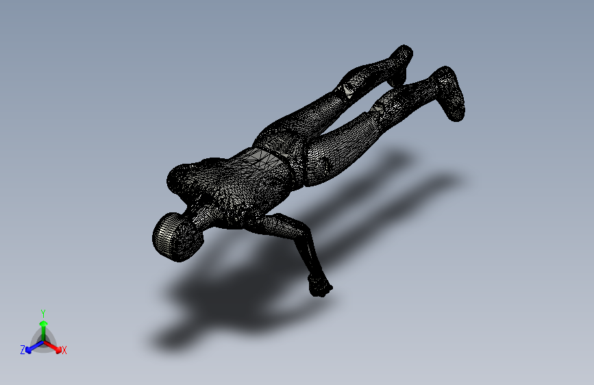 B2002716-人类模特  11 比例