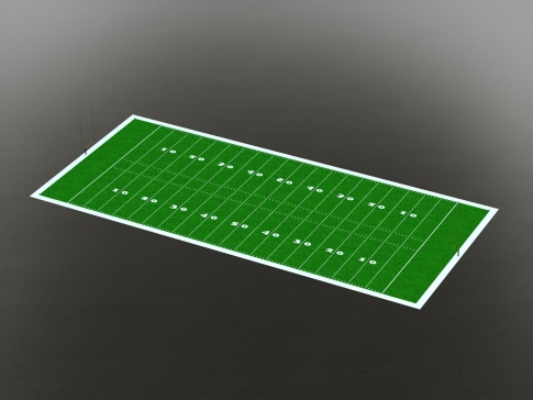 带桩支撑的足球场