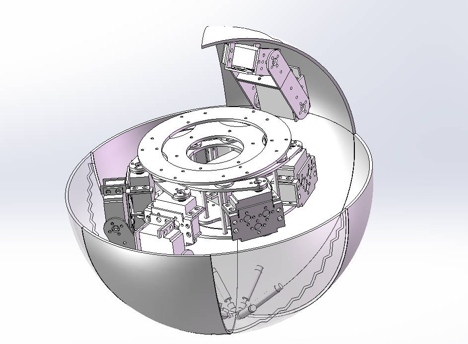 第13组 球形变六足