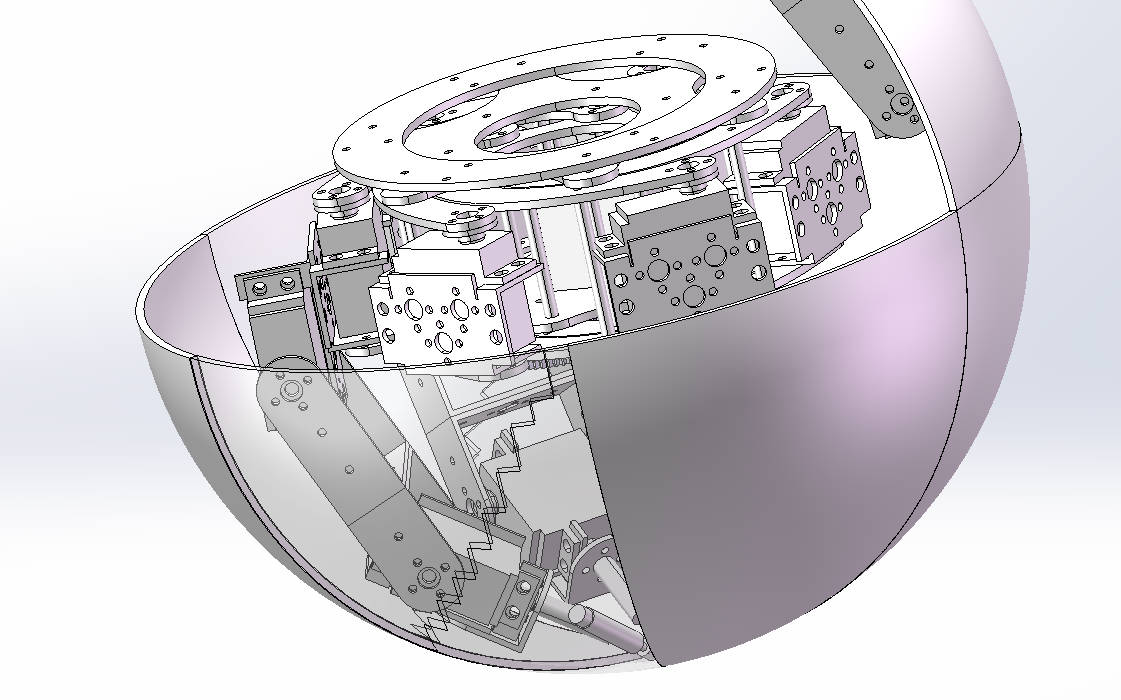 第13组 球形变六足