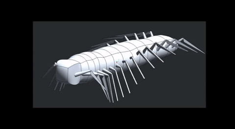 A2003576-千足虫行走机构