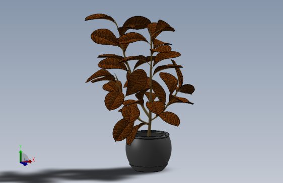 植物(64)