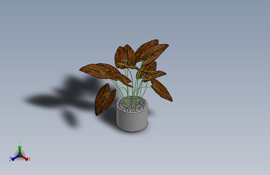植物(68) 主视图