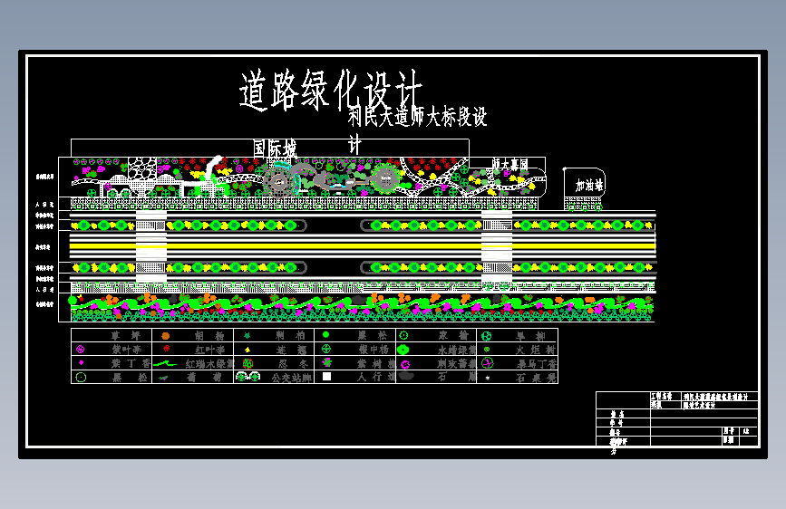 91、利民大道师大标段道路绿化设计1