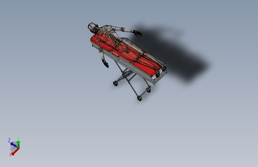 骨骼、人体骨骼(16)