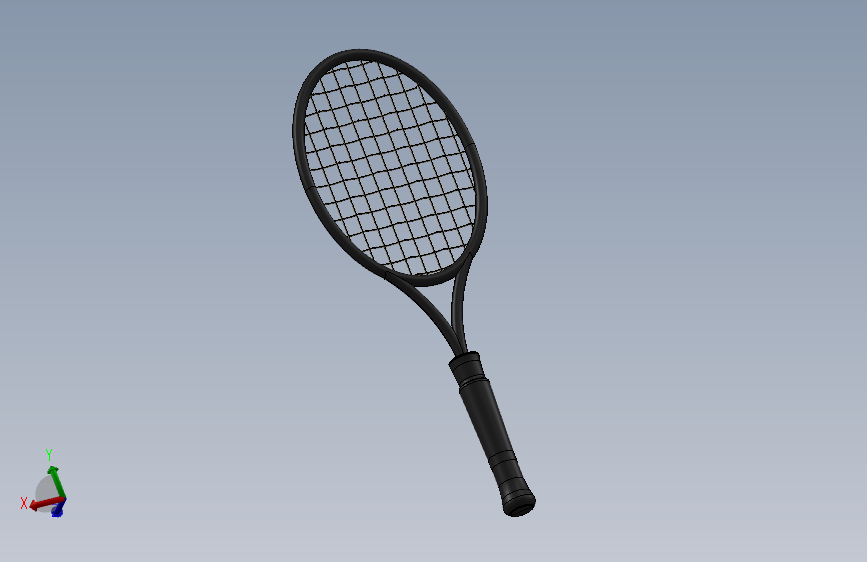 网球、网球拍(11)