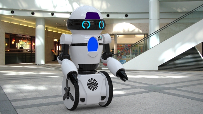 人形机器人模型 290737