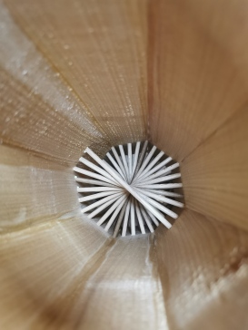 雨树 - 木质放松器具